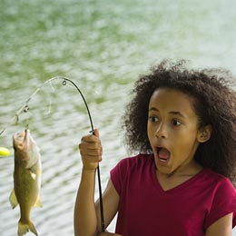 Click to learn about activities at DNR