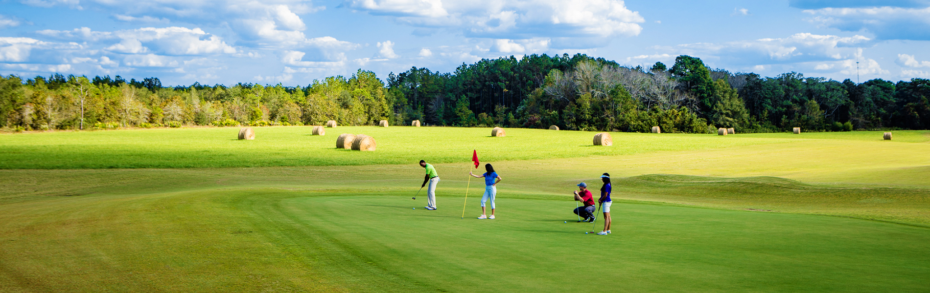 Golfing in State Parks Department Of Natural Resources Division