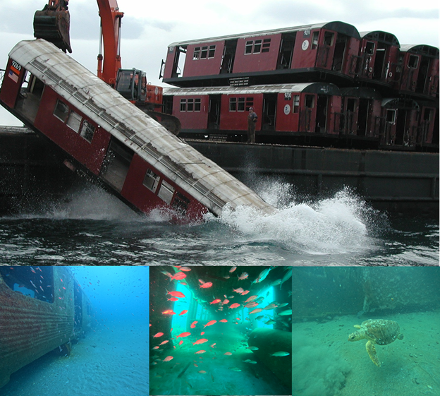 May 22, 2025 Brownbag Icon