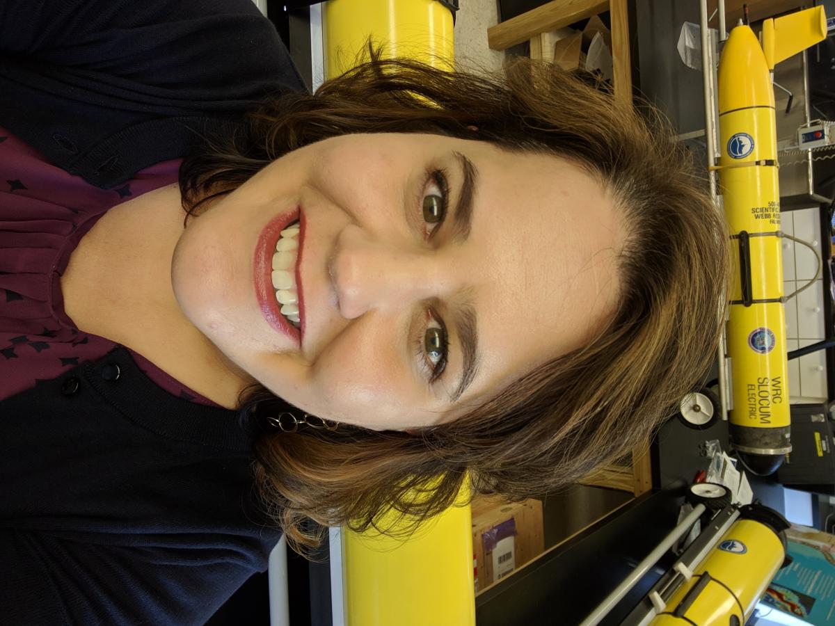 February 11, 2025 Brownbag Icon