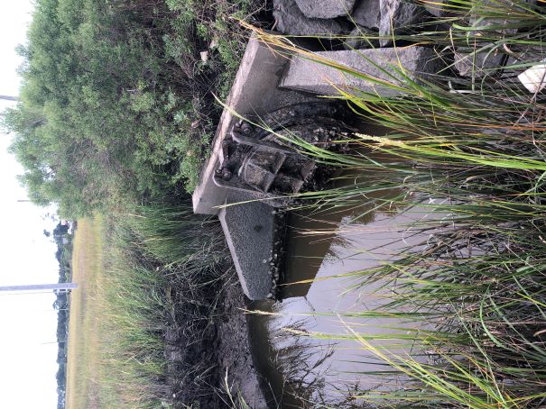 September 12, 2023 Brownbag Icon