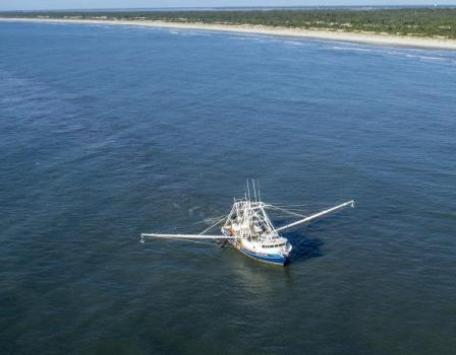 November 7, 2023 Brownbag Icon