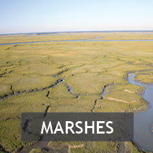 Marshes