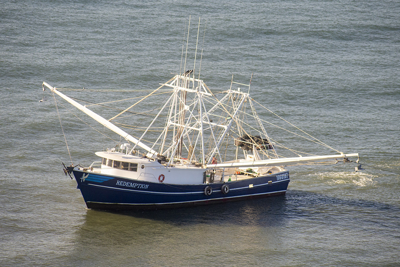 A commercial shrimper trawls off the coast of McIntosh County, Ga., on opening day of shrimp season 2022. DNR photo by Tyler Jones.