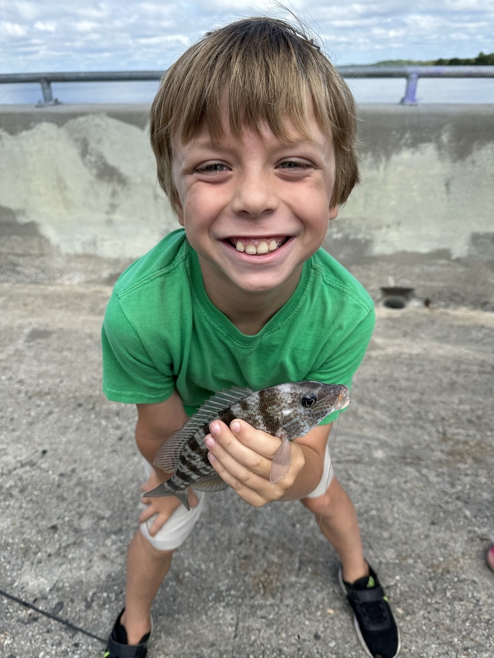 Child holding fish