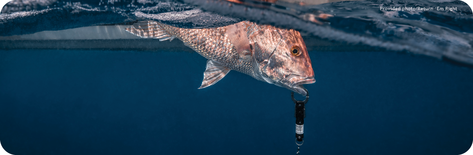 Best Fishing Practices Best Fishing Practices