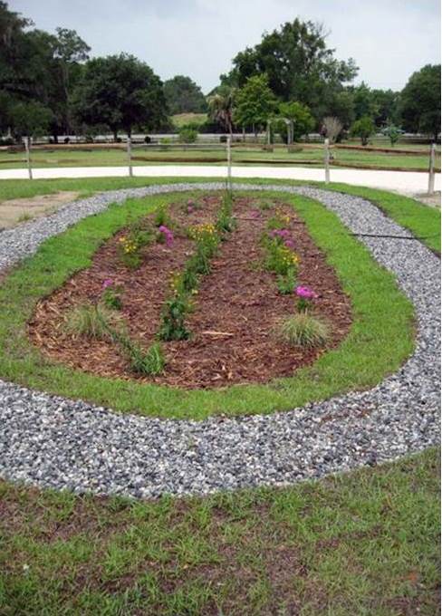 This is a photo of the Gascoigne Park rain garden.