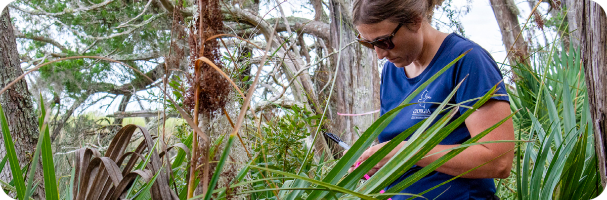Marsh & Shore Permit Frequently Asked Questions Marsh & Shore Permit Frequently Asked Questions