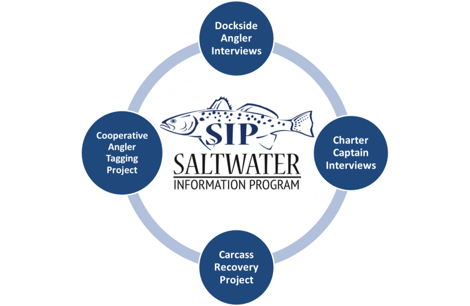 Graphic depicting the four components of the Saltwater Information Program.