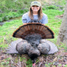 Buy A License Buy A License