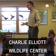 CharlieElliott Wildlife Center