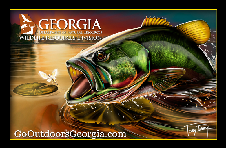 Georgia Saltwater Game Fish Records  Department Of Natural Resources  Division