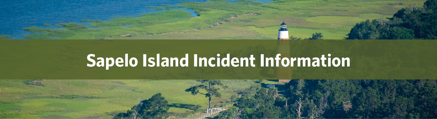 Sapelo Island Incident Information