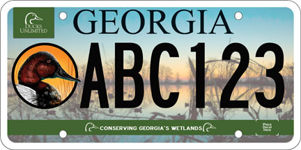 Ducks Unlimited License Plate