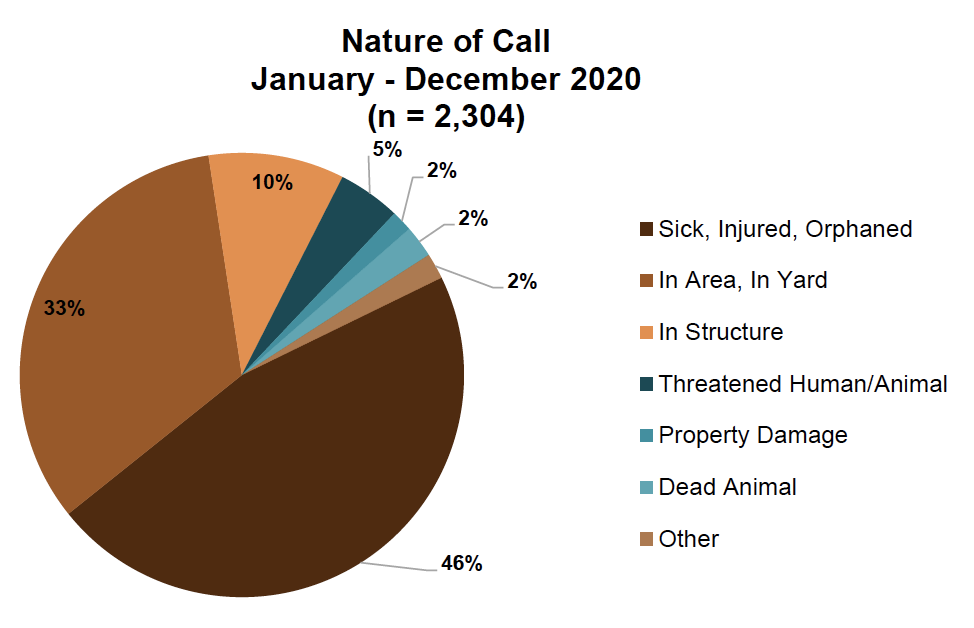 Nature of Call Chart