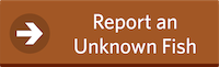 Report an Unknown Fish Button