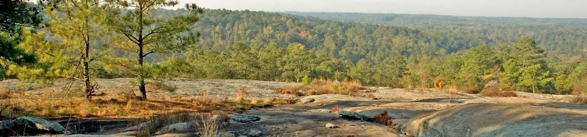 Panola Mountain Rock Banner