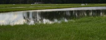 Richmond Hill Hatchery Pond