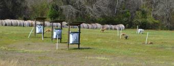 targets at archery range