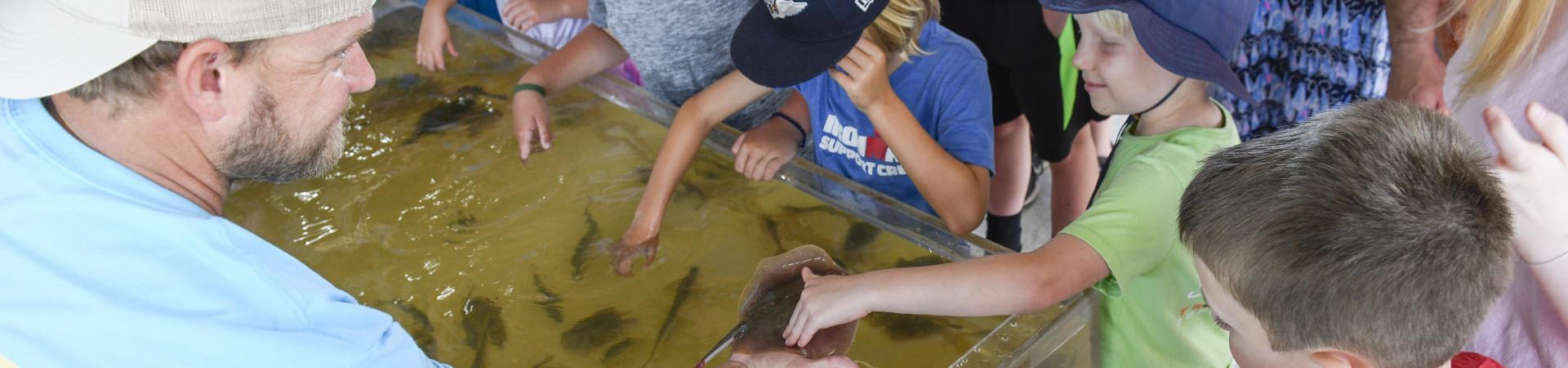 A group of children gathers around a touch tank filled with water and marine animals, reaching in to interact with fish and stingrays. A man wearing a light blue shirt and a beige cap observes and engages with the children. The children, dressed in casual clothing and hats, show curiosity and excitement as they explore the aquatic life. The scene takes place at an educational event focused on marine conservation and hands-on learning.