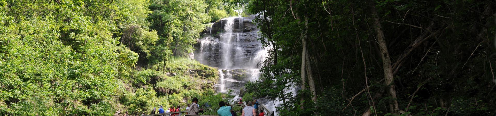 Amicalola Falls picture