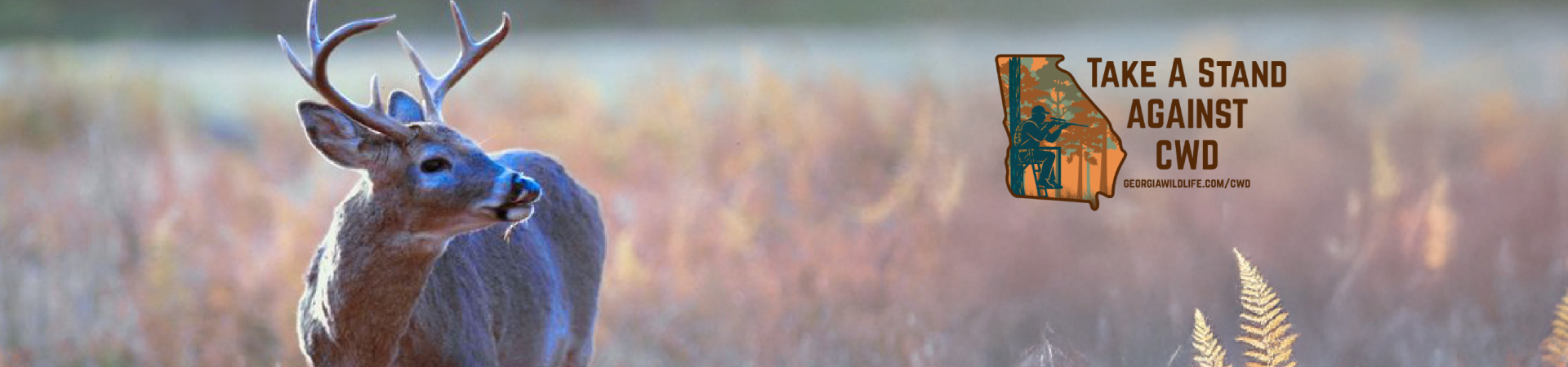 Deer in a field with the CWD logo