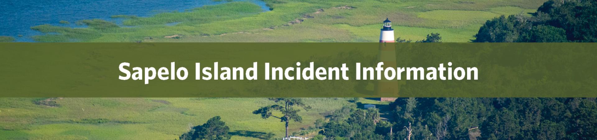 Sapelo Island Incident Information