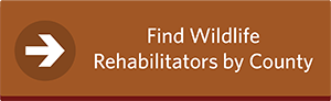 Find Wildlife Rehabilitators by County