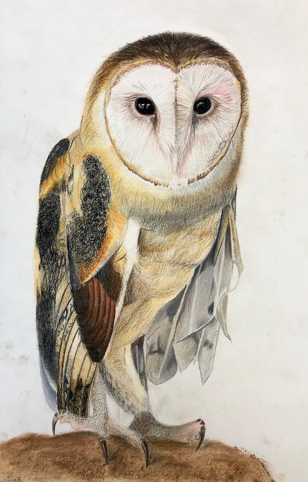 Bird Painting in Oil on Canvas