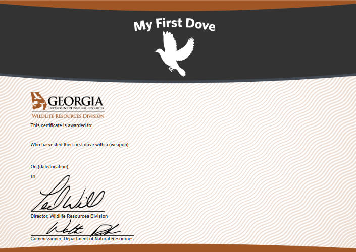My First Dove Certificate