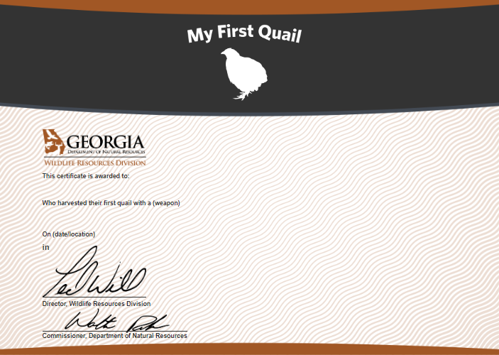 My First Quail Certificate