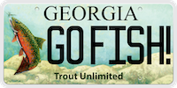 Trout License Plate