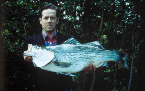 David Hobby's Georgia State Record Hybrid Bass